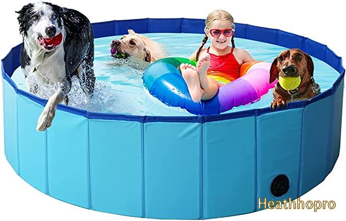 The best dog bath tub in 2022