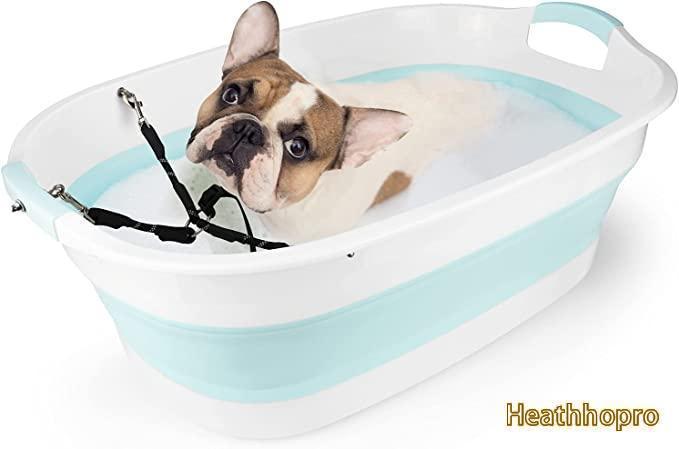 The best dog bath tub in 2022
