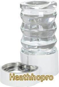 2022 Best Dog Water Dispenser Guide